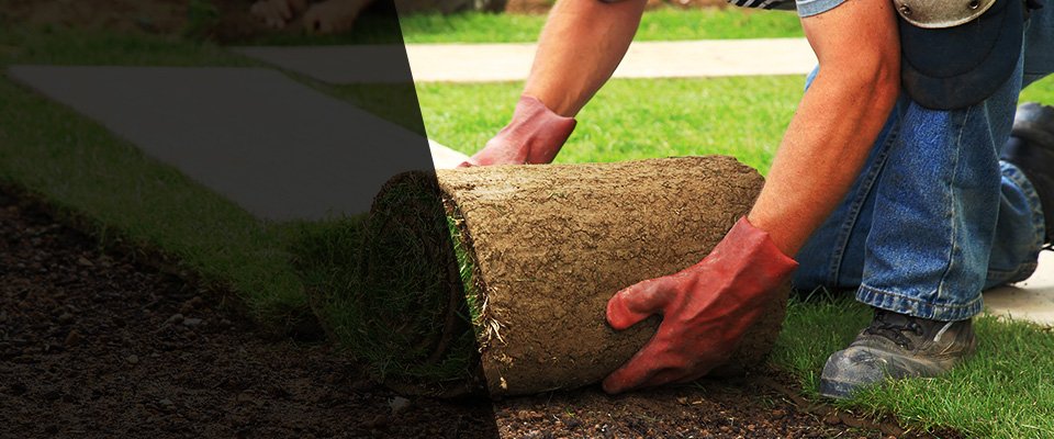 Tonganoxie Landscapers